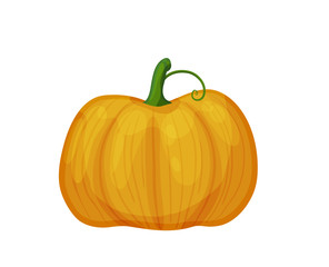 Big orange pumpkin. Vector icon of ripe gourd isolated on white background. Traditional autumn food for Halloween and Thanksgiving day