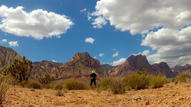 Man At Red Rock Canyon National Conservation Area Admires View
