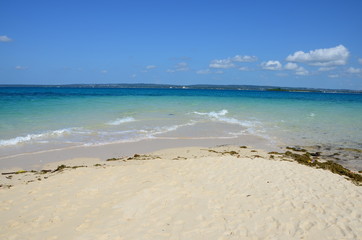 Fototapeta premium Crystal clear waters of Zanzibar