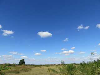 Cloudy sky above skyscape