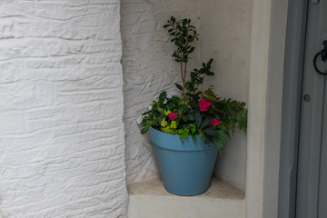 A blue plant pot with flowers inside a whitewashed porch