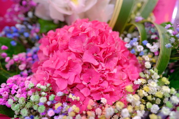 Flower bouquet with colorful Gypsophila and light pink purple Hydrangea macrophylla flower