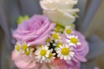 Macro view of colorful blue red green white pink purple rose flower bouquet in full blossom