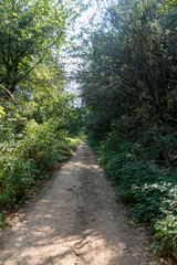 The tau swamp on the route of the ter