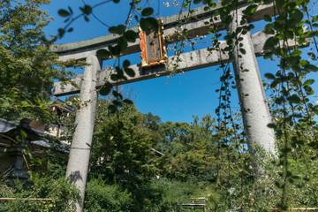 京都、梨木神社の鳥居と青空