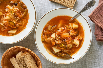 Vegetable soup with pickled cucumbers and rice 