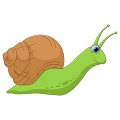 Cute snail cartoon isolated on white background