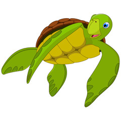 Cute sea turtle cartoon with white background