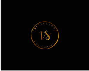  TS Initial handwriting logo vector