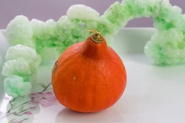 Kleiner oranger Kürbis in grün und rosa Umgebung