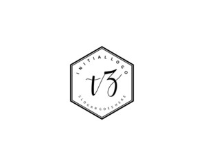  TZ Initial handwriting logo vector