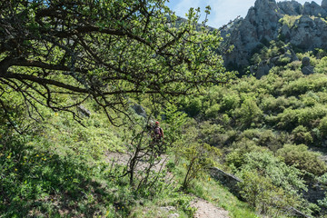 Hiking pathway- journey through roads, mystical nature
