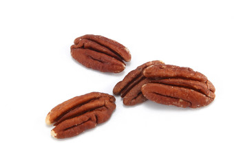 The pecan is a species of hickory native to northern Mexico and the southern United States in the region of the Mississippi River.