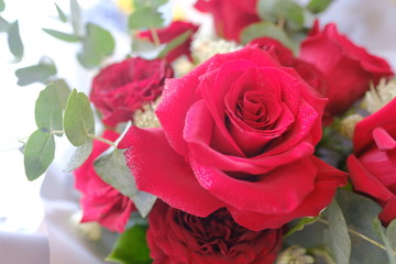 Macro view of colorful blue red green white pink orange purple rose flower bouquet in full blossom