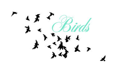 A flock of flying birds. Vector illustration
