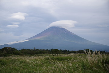 富士山とススキ