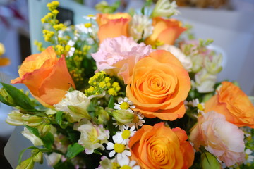 Macro view of colorful blue red green white pink orange purple rose flower bouquet in full blossom