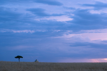 Landscape of Masai Mara Game Reserve,Kenya,Africa