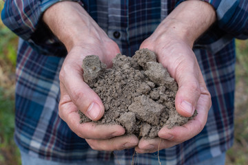 Farmer hands with soil in the palms close-up , man hands with fertile soil
