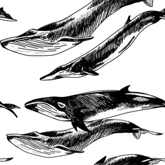 Seamless pattern with whales and dolphins. Drawing by hand in vintage style.