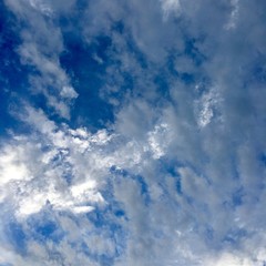 The Sky