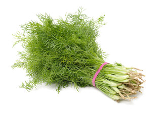 Fennel bunch on white background