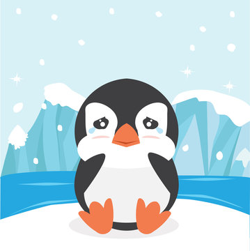 Cute penguin crying  on ice floe
