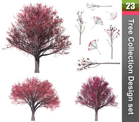 Obraz premium Tree correction design set. 3D Illustration. White background isolate. Nature and Gardens design.