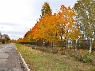road in autumn