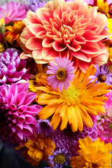 Obraz premium Bunch of fresh autumn flowers. Colorful zinnias, asters, dahlias.
