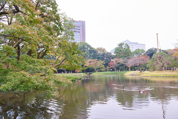 Koishikawa Korakuen Garden
