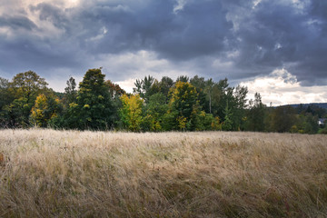Naklejka premium Autumn rural landscape stock images. Autumn landscape with field and forest. Field with grass and clouds. Cloudy day in the Czech landscape. Beautiful Czech countryside