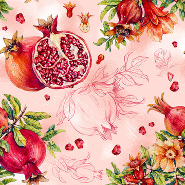 Pomegranate.  Watercolor illustration.