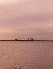 Obraz premium Merchant ships await near the industrial loading dock of Nueva Palmira, on the Uruguay River. New Palmira City, Uruguay