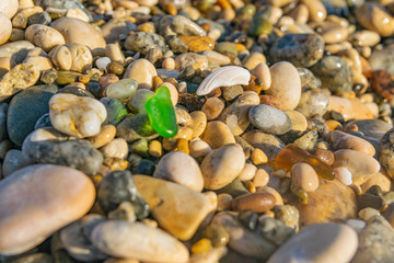 Multi-colored pebbles beach texture close - up, background image.