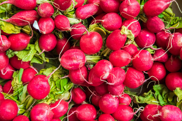 Organic radishes background on market