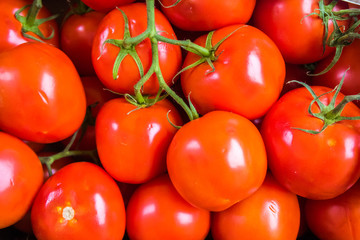 Organic tomatos background on market
