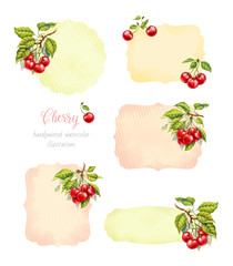 Cherry. Watercolor botanical illustration.