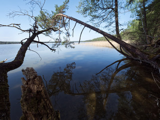 Jezioro Mokre na Pojezierzu Mrągowskim w wiosennym porannym słońcu