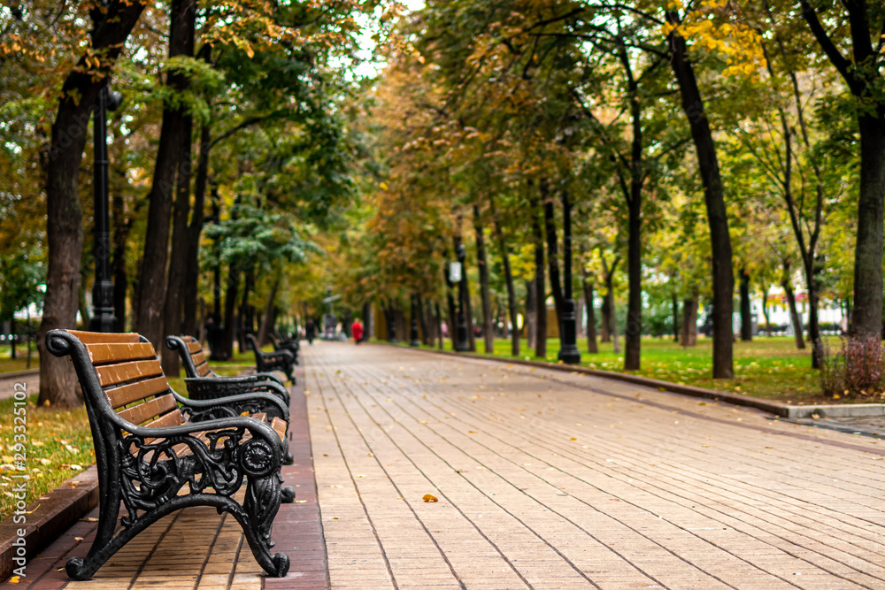 Wall mural bench in the autumn park. fall park background.