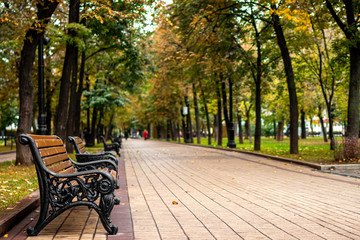 Bench in the autumn park. Fall park background.