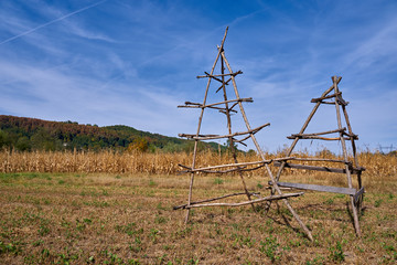 Empty hay racks in a corn field