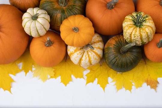 Pumpkins and maple leaves