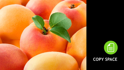 Apricots. Apricot background. Copy space. Black background. Apricot black. Black copy space.