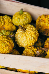 Close-up of yellow gourds