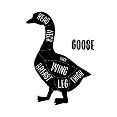 Goose meat cutting charts vector illustration for butchers shop guide. Label for farm design