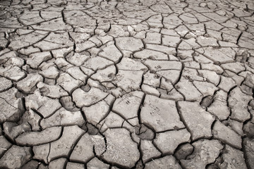 texture of dry cracked earth. Desert, concept of time of drought and global warming.