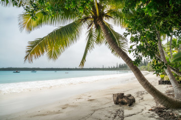Kuto Bay View with boats on the water and coconut palm trees in the foreground on the Isle of Pines in New Caledonia, South Pacific Ocean.