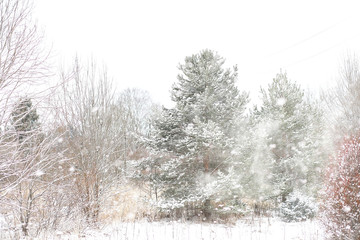 Winter landscape of country fields and roads