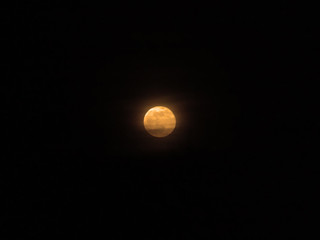 Light orange variations for the moon planet in a night sky